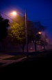 Foggy Lamps